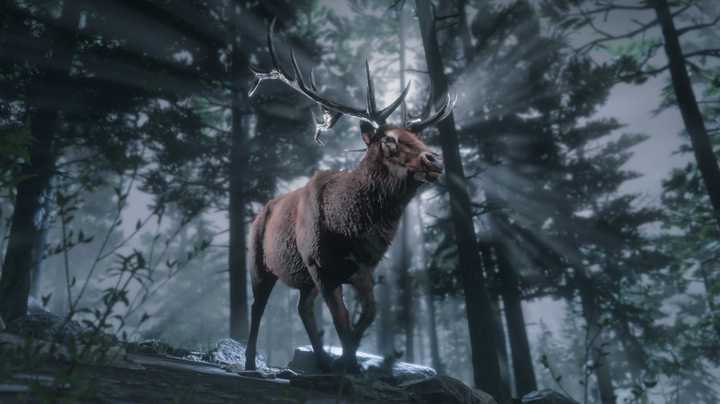 Rockstar Shocks Fans With Red Dead Online Update